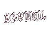 accueil book