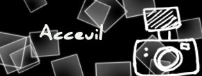 accueil book