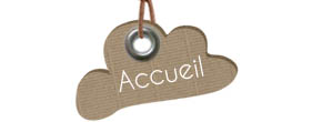 accueil book