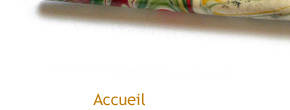accueil book