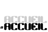 accueil book