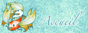 accueil book