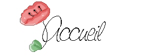 accueil book
