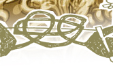 portefolio