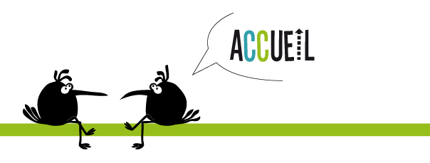 accueil book