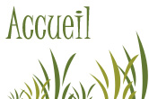 accueil book