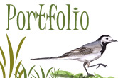 portefolio