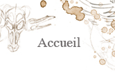 accueil book