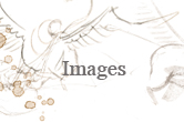 portefolio
