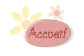 accueil book