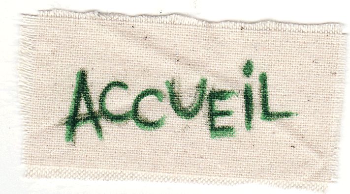 accueil book