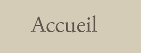 accueil book