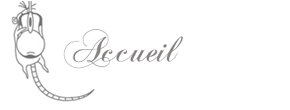 accueil book