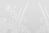 portefolio