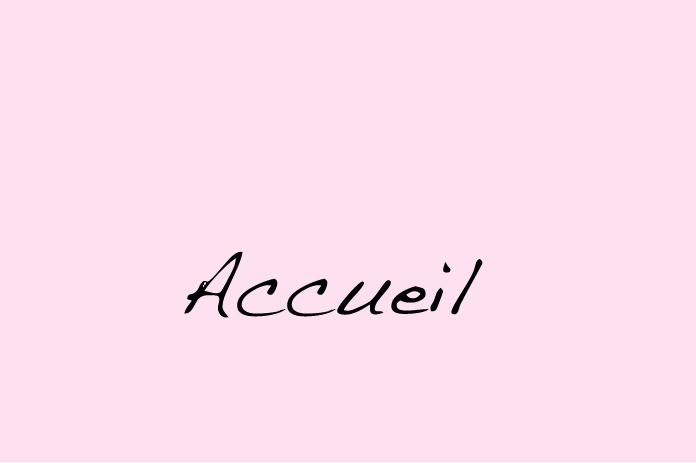accueil book