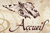 accueil book