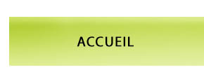 accueil book