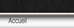 accueil book