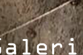 portefolio