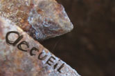 accueil book