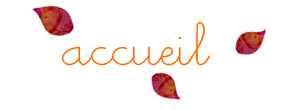 accueil book