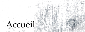 accueil book