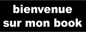 accueil book