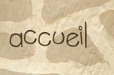 accueil book