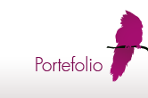 portefolio