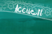 accueil book