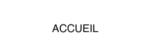 accueil book