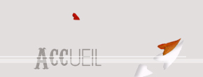 accueil book