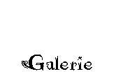 portefolio