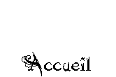 accueil book