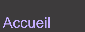 accueil book