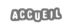 accueil book