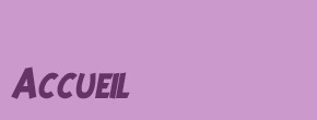 accueil book