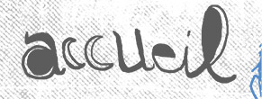 accueil book