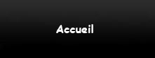 accueil book