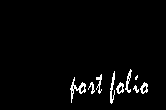 portefolio