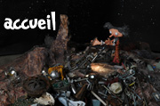 accueil book