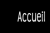 accueil book