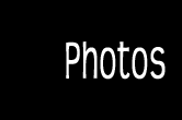 portefolio