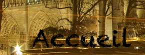 accueil book