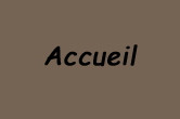 accueil book