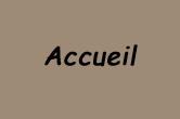 accueil book