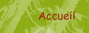 accueil book
