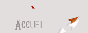 accueil book