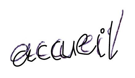 accueil book