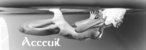 accueil book